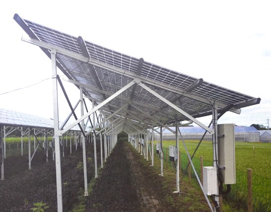 Agriculture Solar Mounting System